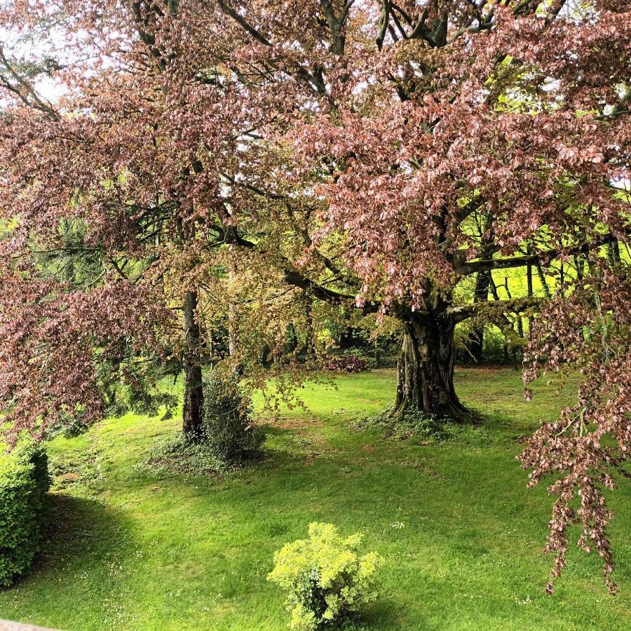 Petit Manoir De La Berthenlaire Bed & Breakfast Baincthun Bagian luar foto
